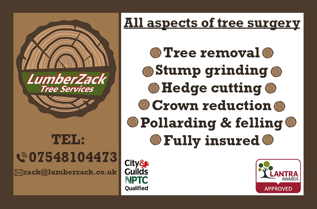 LumberZack Business Card Image